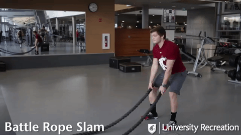 battle rope slam