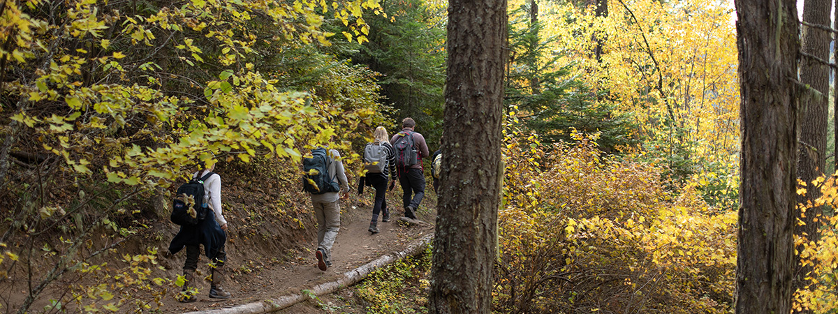 students hike on trail with foliage and trees