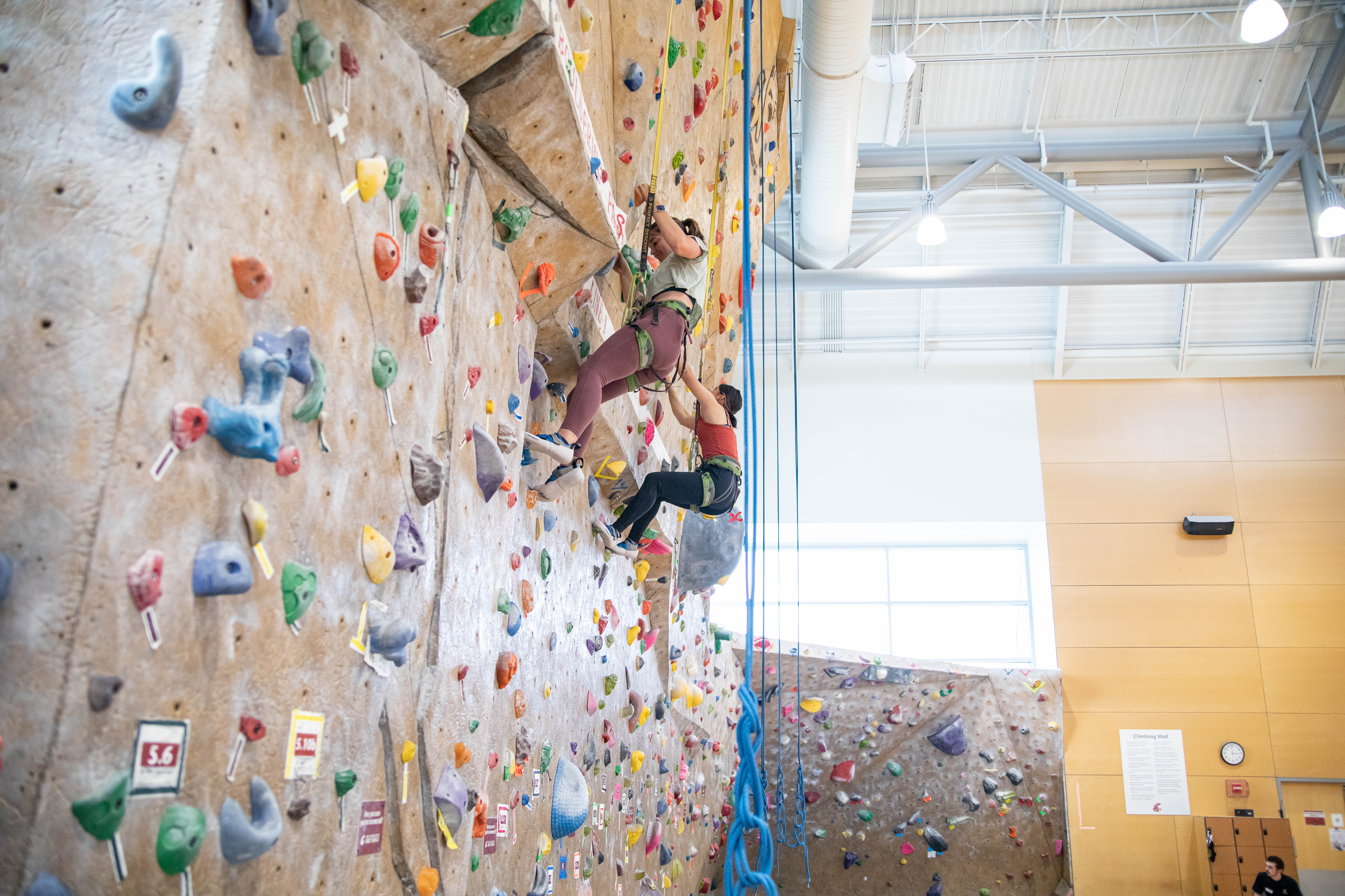 Climbing Wall
