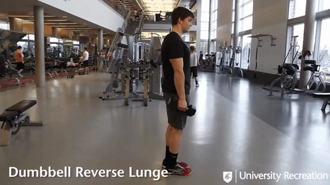 dumbbell reverse lunge