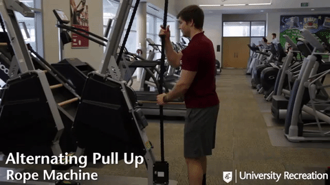 alternating pull up