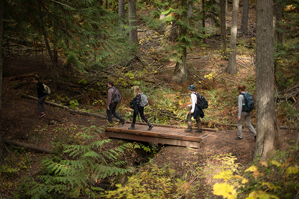 A small group of hikers with backpacks crosses a wooden footbridge on a forest trail. Tall evergreen trees, ferns, and autumn-colored leaves surround the path, with dappled sunlight filtering through the woods.