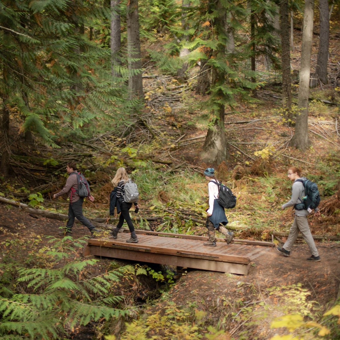 Hike at Moscow Mountain